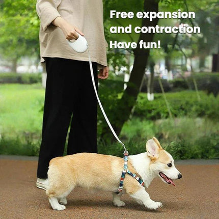 Retractable Dog Leash for Small & Medium Dogs No Tangle Walking Pet Lead, 3m, 5m - DealBuddy