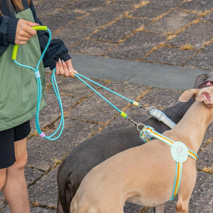 One To Two Anti-escape P-chain Dog Leash - DealBuddy