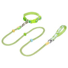 Pet Double-section P-shaped Leash Multi-functional Collar Walking Lead, S, M - DealBuddy