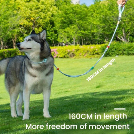 Pet Double-section P-shaped Leash Multi-functional Collar Walking Lead, S, M - DealBuddy
