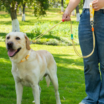 Pet Double-section P-shaped Leash Multi-functional Collar Walking Lead, S, M - DealBuddy