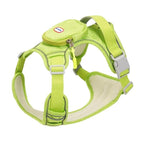 XL / Green