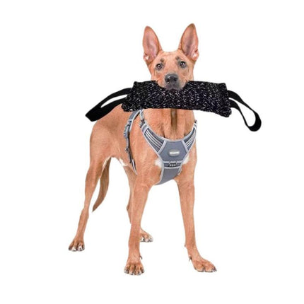 Pet Chew Toys Hemp Sticks Dog Training Supplies, 20cm Chew Toy, 30cm Chew Toy, 26cm Teething Pillow - DealBuddy