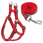 Small Medium Dogs Nylon Reflective Dog Leash Lead Set, S - DealBuddy