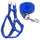 Small Medium Dogs Nylon Reflective Dog Leash Lead Set, S - DealBuddy
