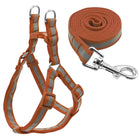 Small Medium Dogs Nylon Reflective Dog Leash Lead Set, S - DealBuddy