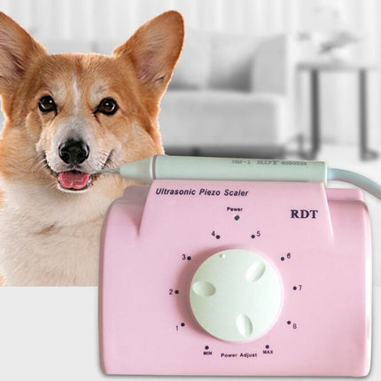 Ultrasonic Dental Washing Machine for Pet Dog Teeth Stone Remover, CN Plug, US Plug, UK Plug, EU Plug - DealBuddy