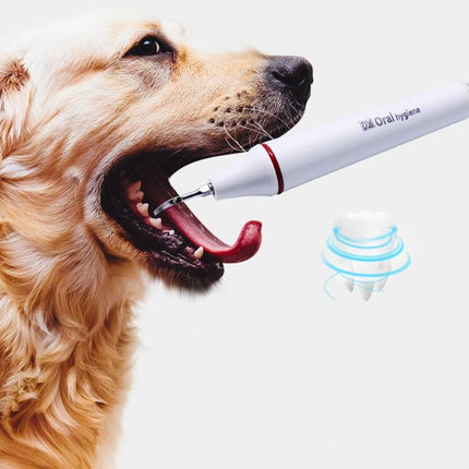 Ultrasonic Dental Washing Machine for Pet Dog Teeth Stone Remover, CN Plug, US Plug, UK Plug, EU Plug - DealBuddy