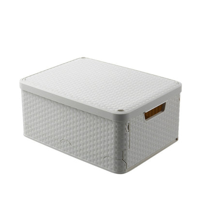 Collapsible Finishing Dormitory Wardrobe Plastic Storage Box with Cover Lip