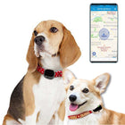 RF-V43 A Style IP67 Waterproof GPS + LBS + WiFi Pet Locator Pet Collar Tracking Device For Asia/Europe/Africa/Australia, RF-V43 A Style (White), RF-V43 A Style (Black)