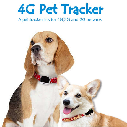 RF-V43 A Style IP67 Waterproof GPS + LBS + WiFi Pet Locator Pet Collar Tracking Device For Asia/Europe/Africa/Australia, RF-V43 A Style (Black), RF-V43 A Style (White) - DealBuddy