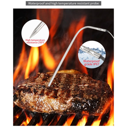 TS-6601-2 Kitchen Baking Touch Digital Double-Needle Color Screen Food Thermometer - DealBuddy