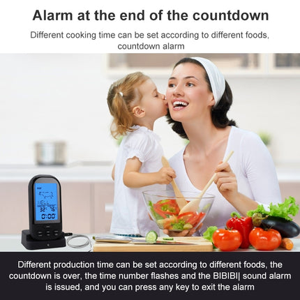 TS-HY62 Digital Kitchen Food Cooking BBQ Wireless Thermometer(Black) - DealBuddy