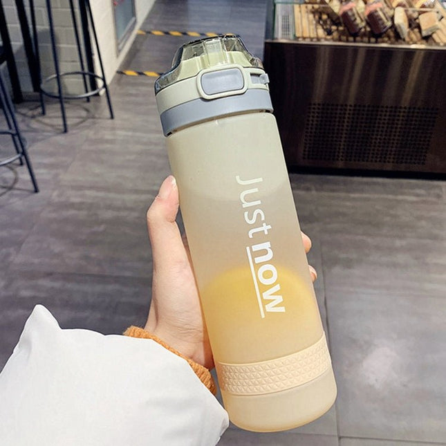 Cartoon Girl Straw Cup Fresh Frosted Gradient Scale Plastic Cup Portable Cup - DealBuddy