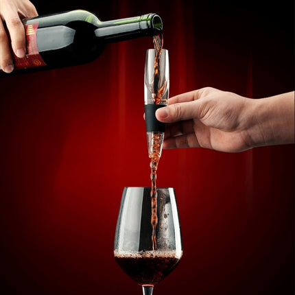 Elegant Fashion Red Wine Decanter/The Wine Pourer - DealBuddy