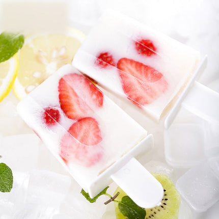 Home Made Popsicle Ice Cream Mold Set - DealBuddy