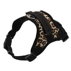 XL / Leopard