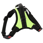 S / Green