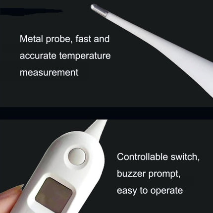 Large Screen Electronic Fast Veterinary Thermometer, Veterinary Thermometer - DealBuddy