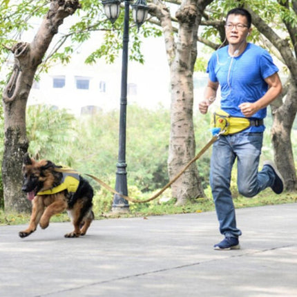 Lovoyager Pet Training Waist Bag Outdoor Walking Dog Snack Pocket, Lovoyager Yellow, Lovoyager Orange, Lovoyager Blue - DealBuddy
