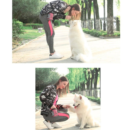 Pet Training Waist Bag Outdoor Multifunctional Snack Bag Pet Supplies - DealBuddy