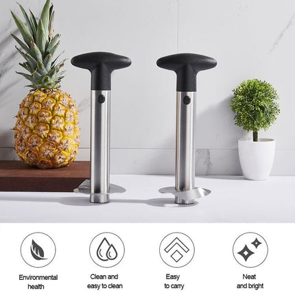 Pineapple Corer Slicer - DealBuddy