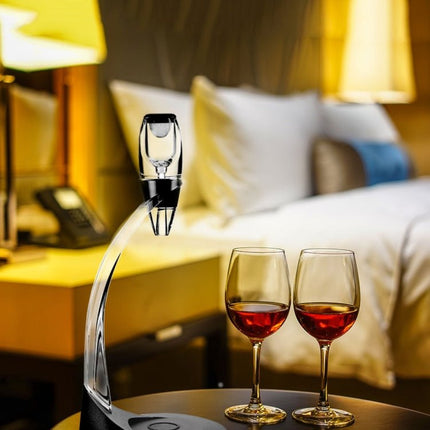 Red Wine Quick Decanter Set Decanter Filter Wine Pourer - DealBuddy
