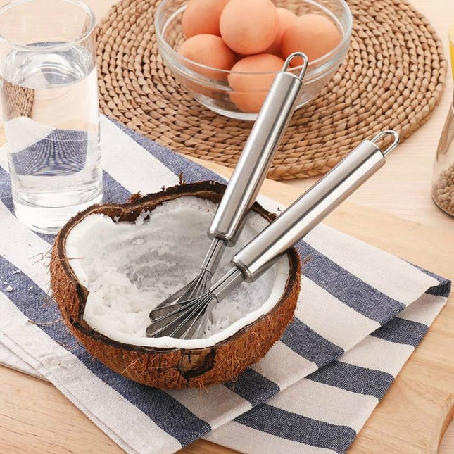 Stainless Steel Copra Planer All Steel Handle Coconut Planing Fish Scale Planer Seeder - DealBuddy