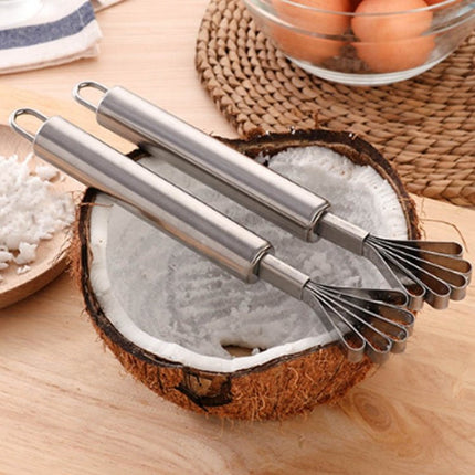 Stainless Steel Copra Planer All Steel Handle Coconut Planing Fish Scale Planer Seeder - DealBuddy